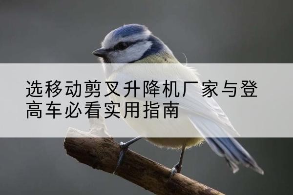 连南电动升降机厂家-选移动剪叉升降机厂家与登高车必看实用指南