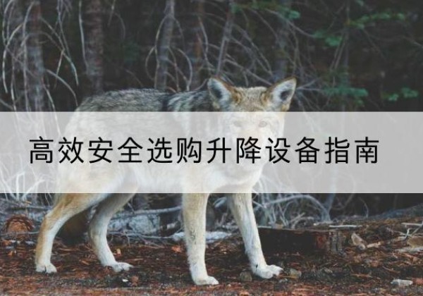 连南升降货梯厂家推荐-*安全选购升降设备指南