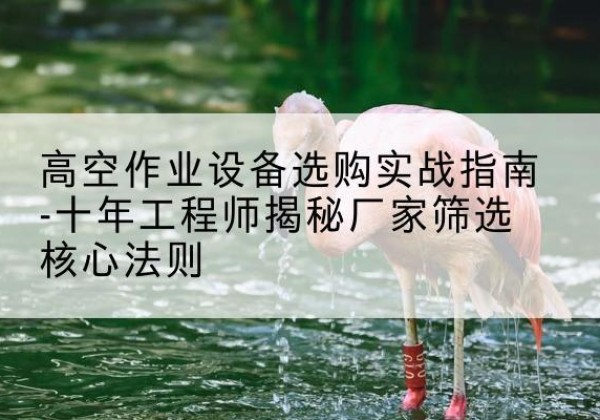 连南剪叉式升降机厂家-高空作业设备选购实战指南-十年工程师揭秘厂家筛选核心法则